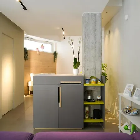 Exclusive Loft Centro Daire Salerno